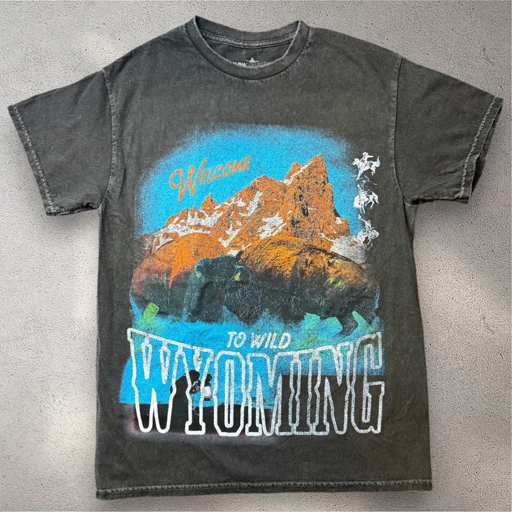 Alpha Collective Wild Wyoming Graphic T-Shirt Mens Small Charcoal Gray Cotton